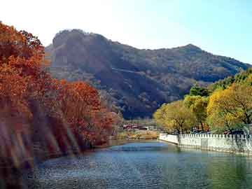 管家婆黑白马报图库，黑帽seo排名